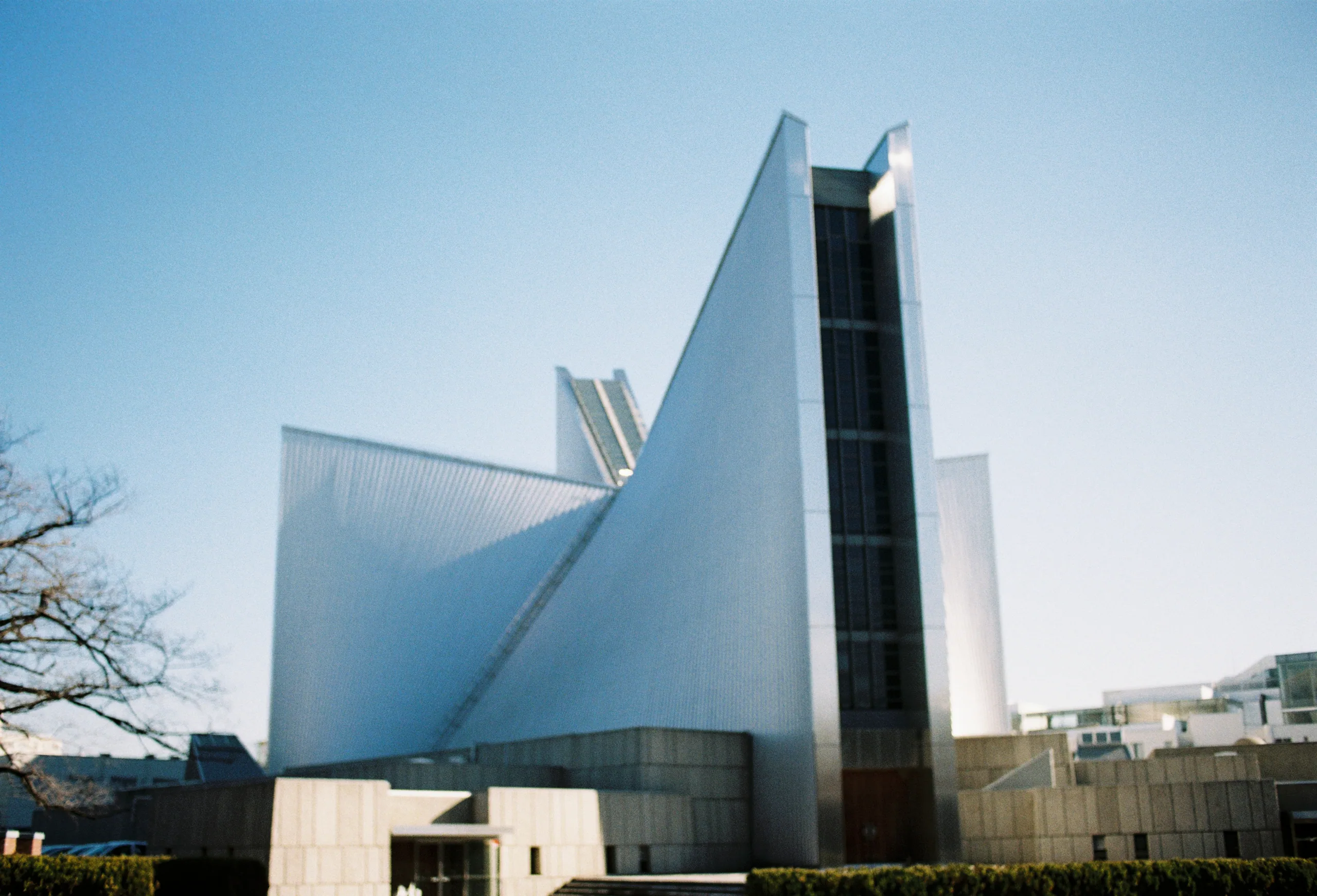 2019, picture 2