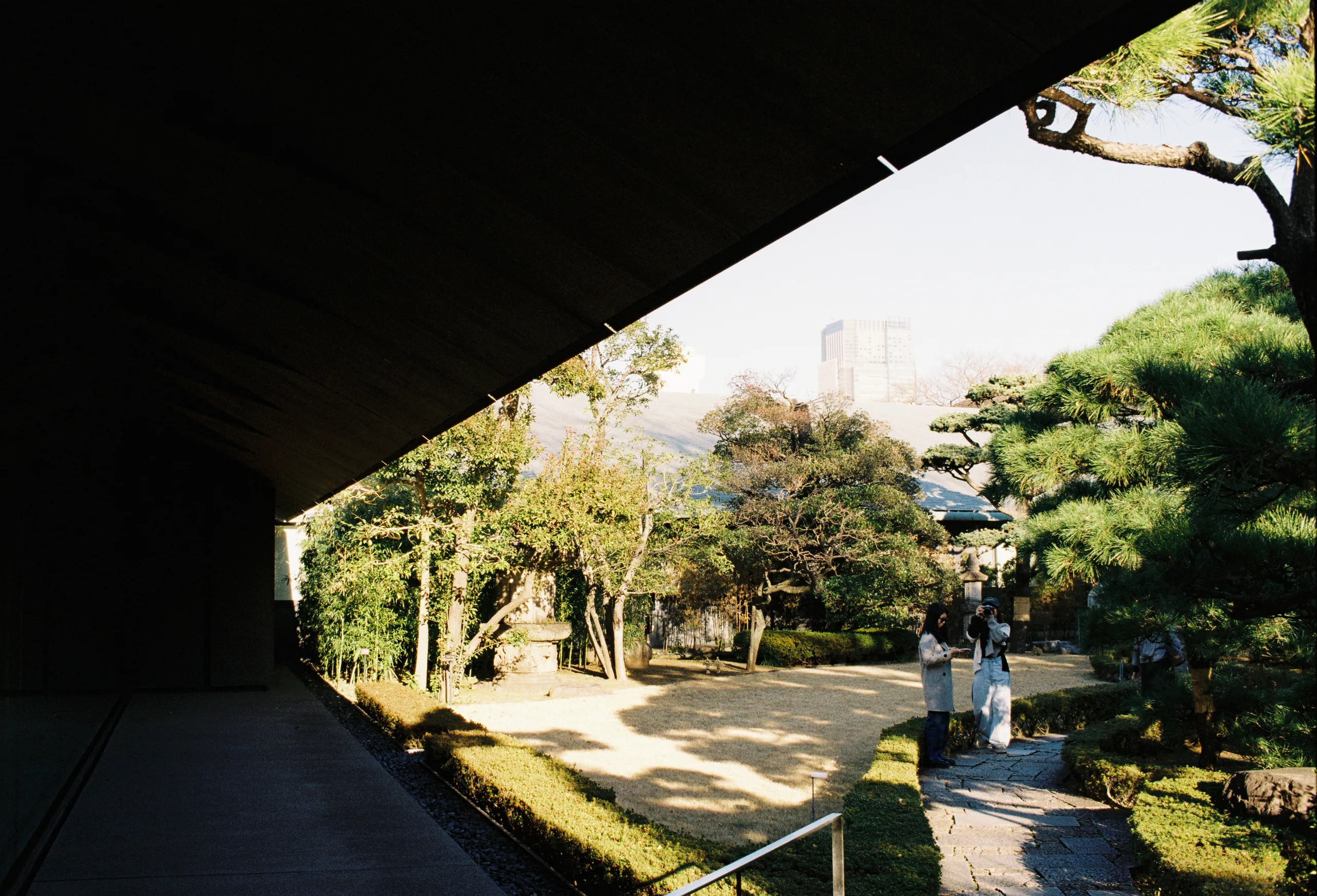 2019, picture 12