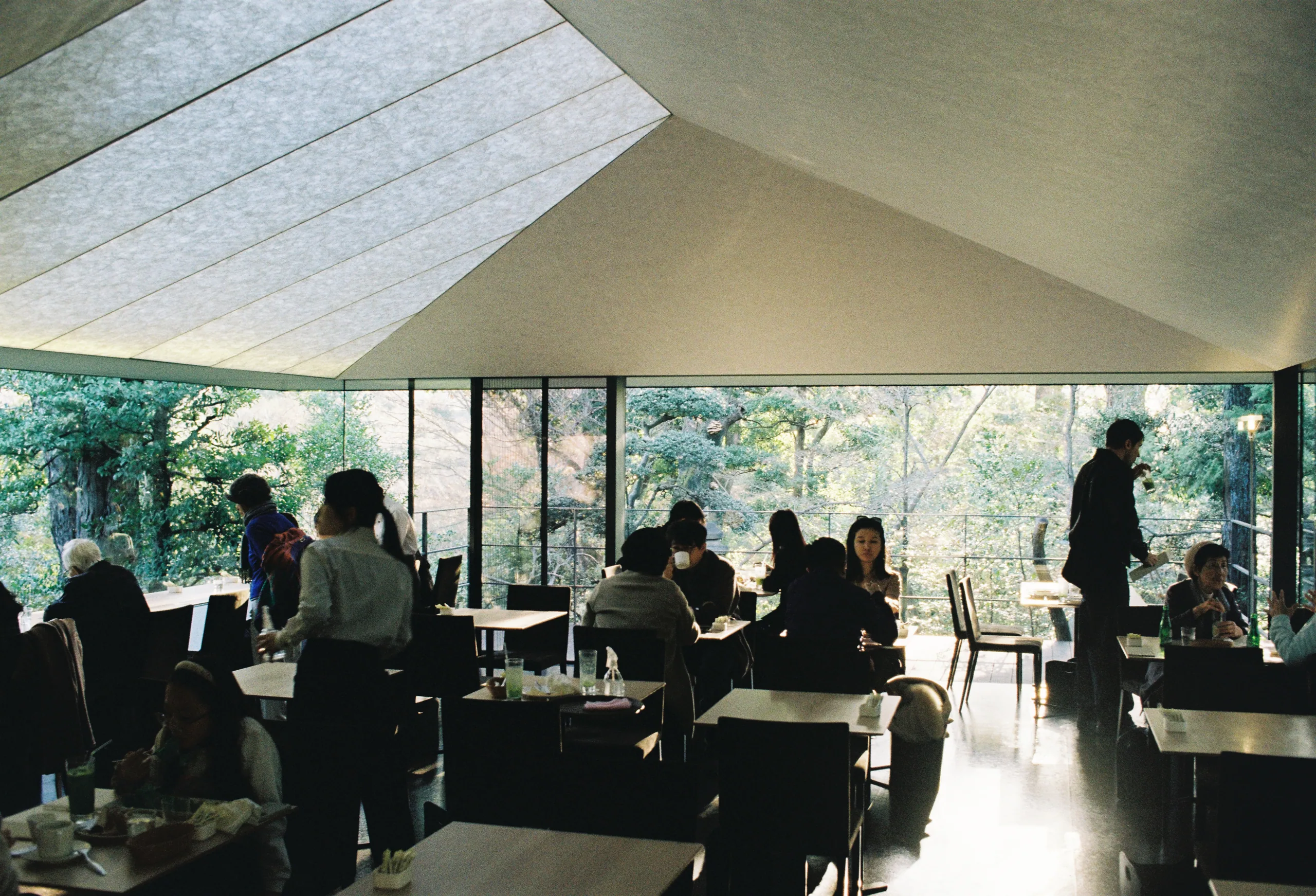 2019: Nezu Museum, the café in the garden