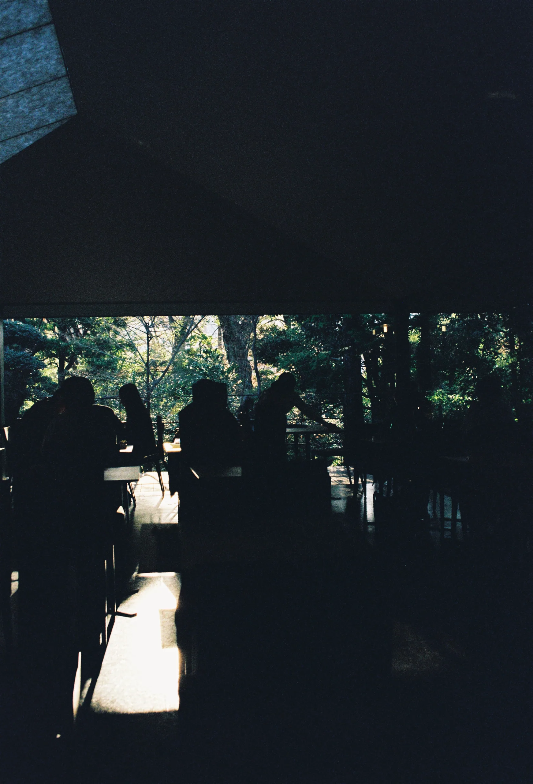 2019, picture 15