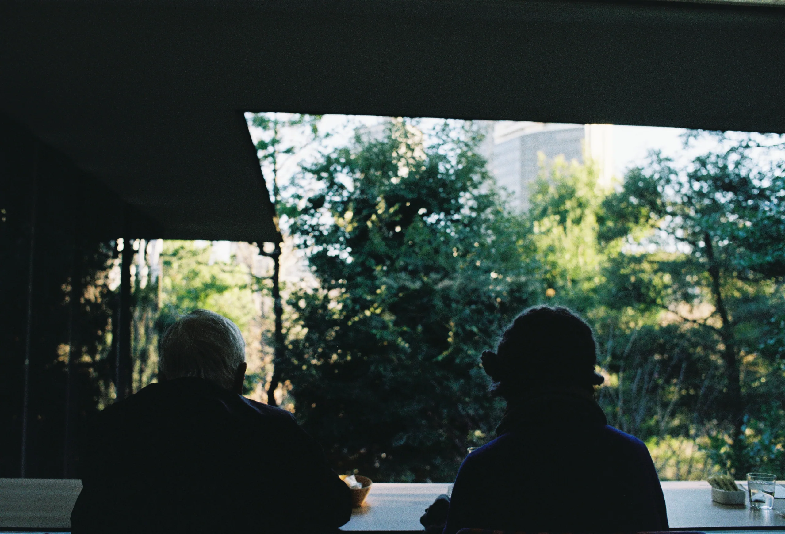 2019, picture 16