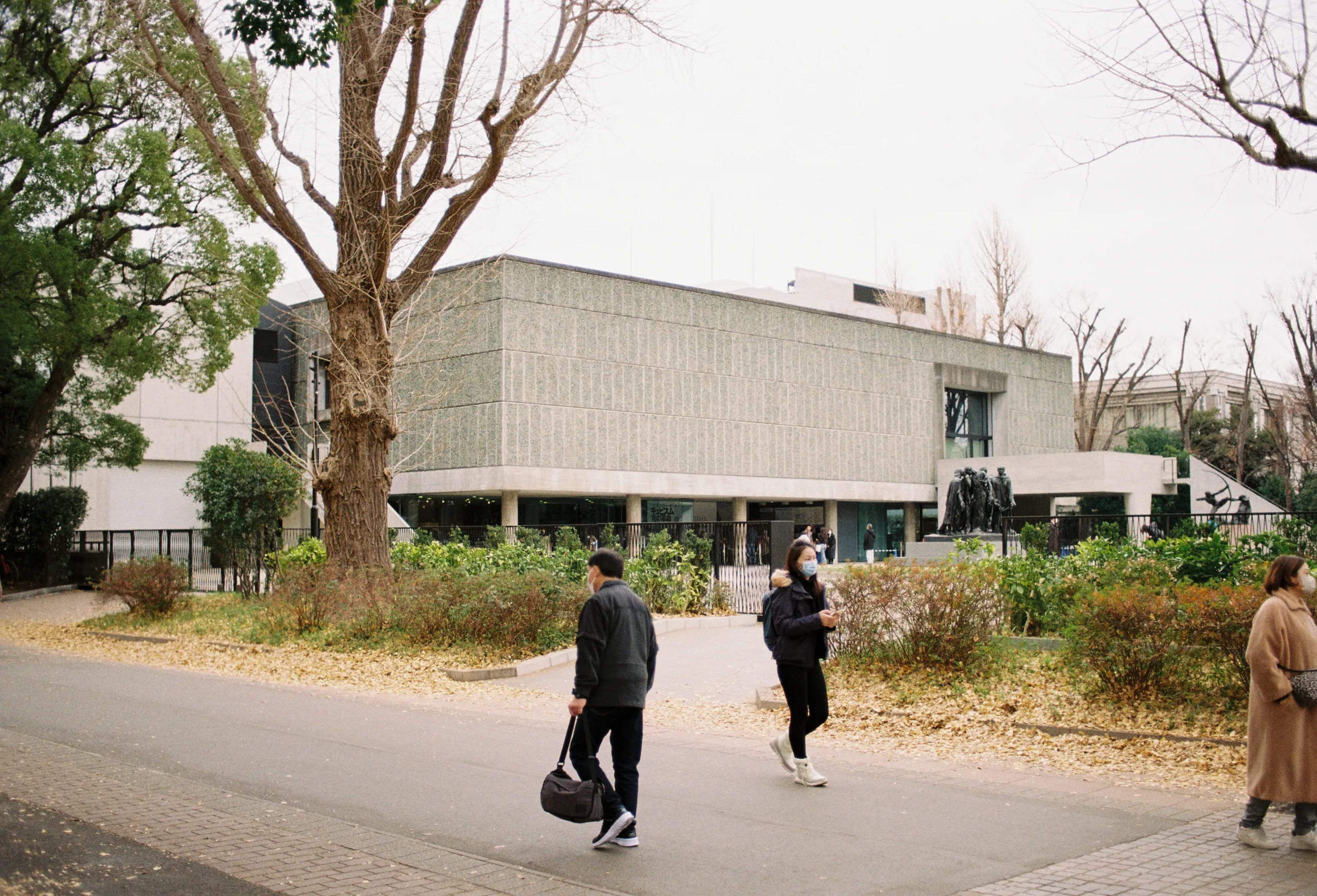 2019, picture 20