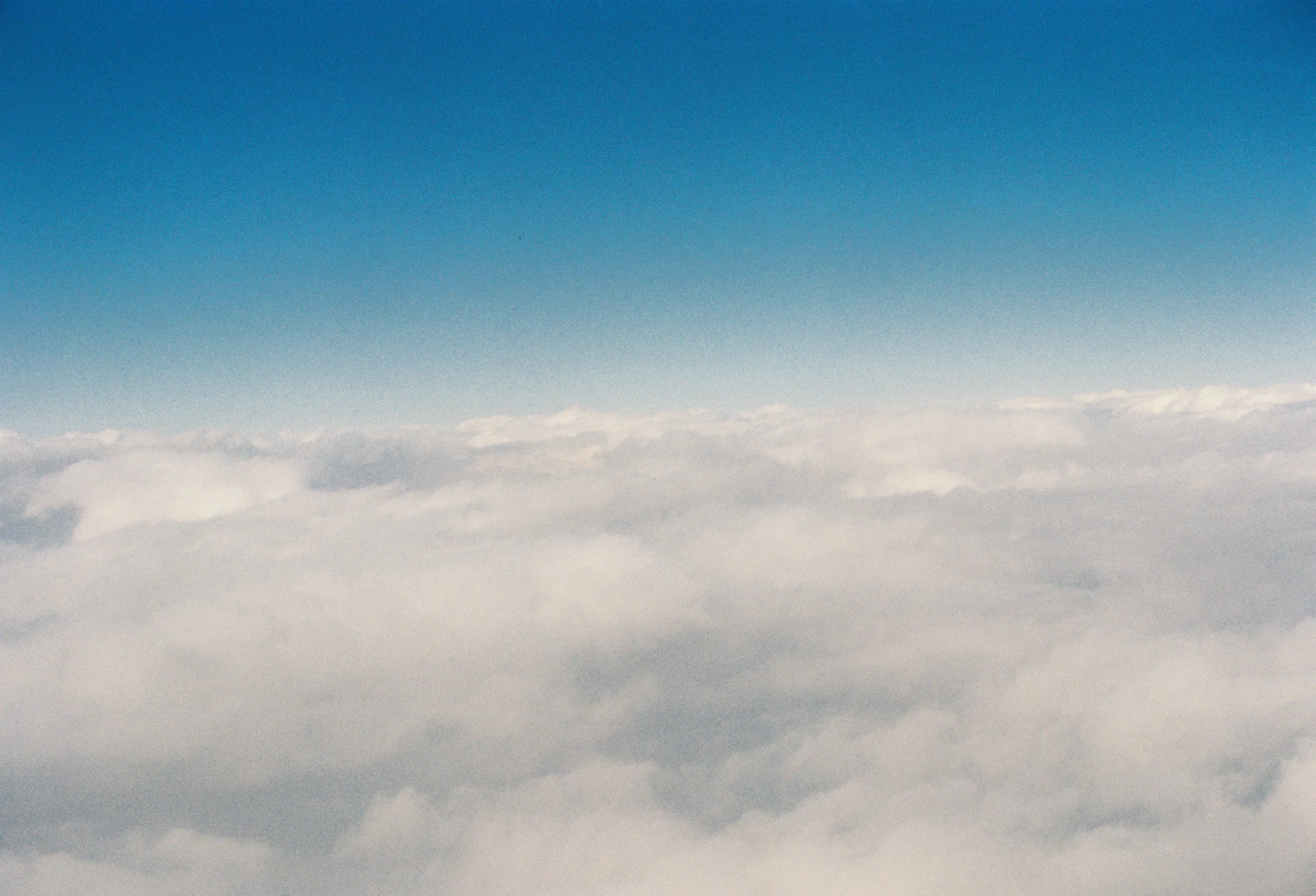 2019, picture 26