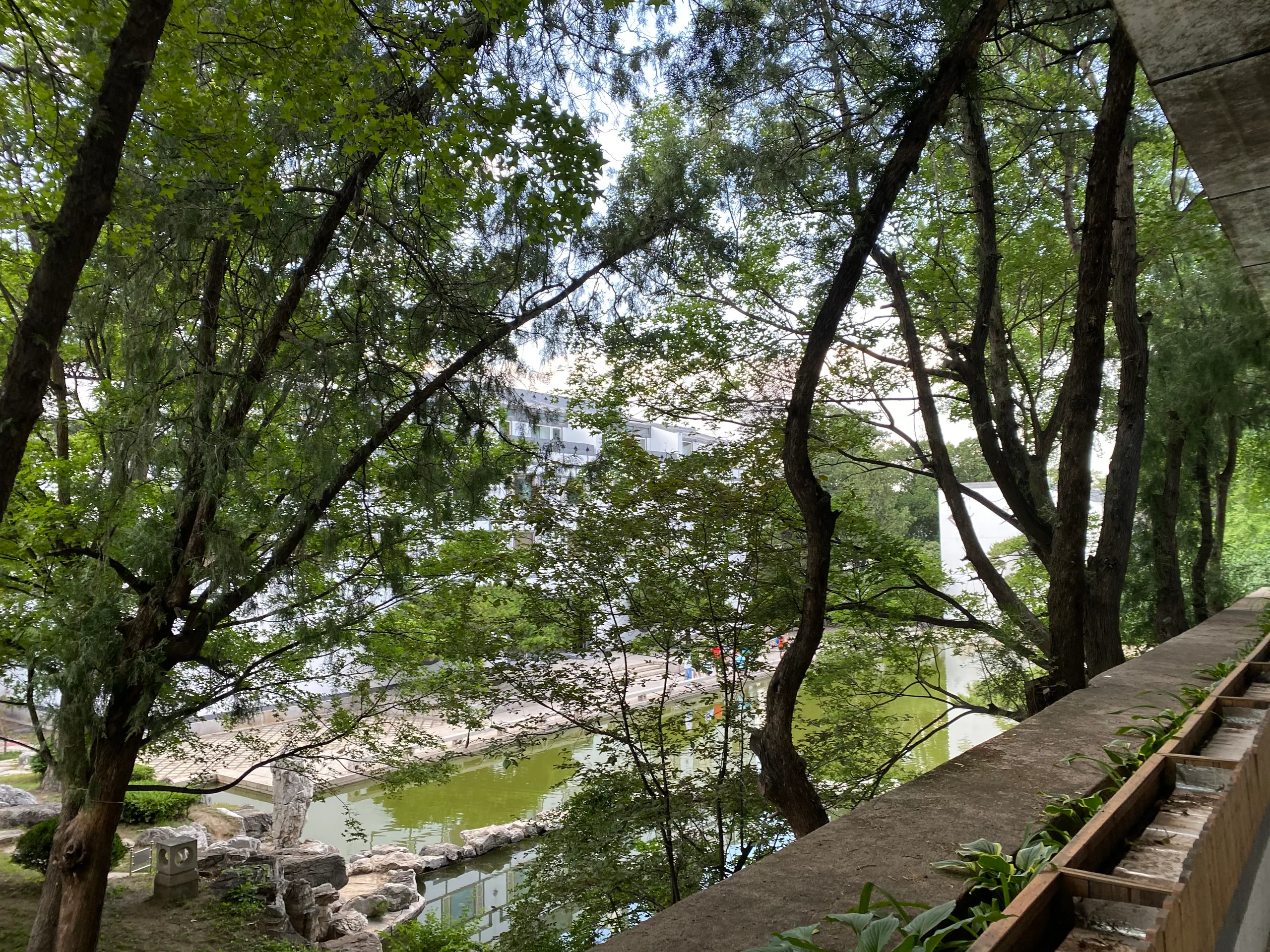 2020, picture 11