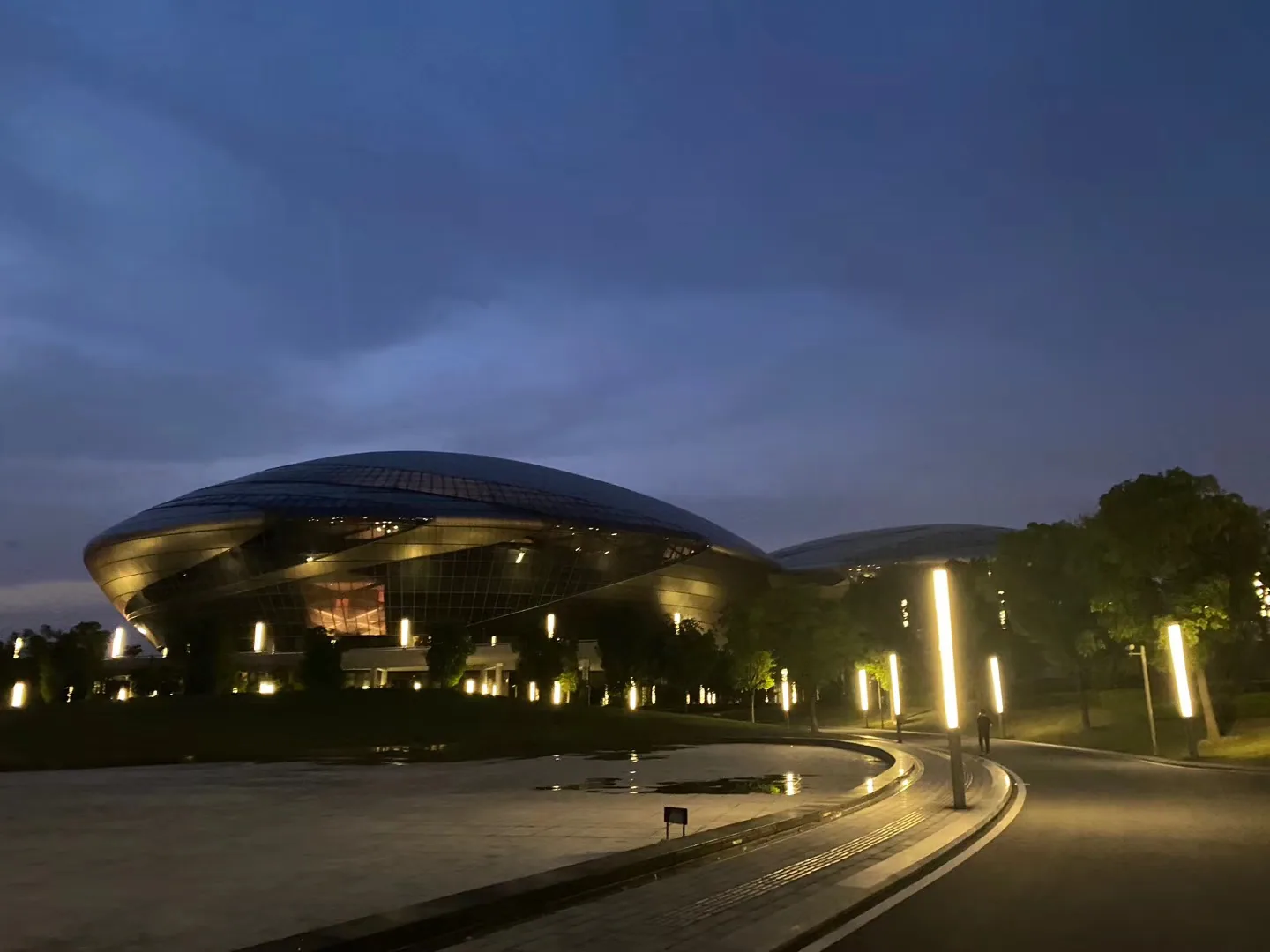 2020: Jiangsu Grand Theatre, Nanjing