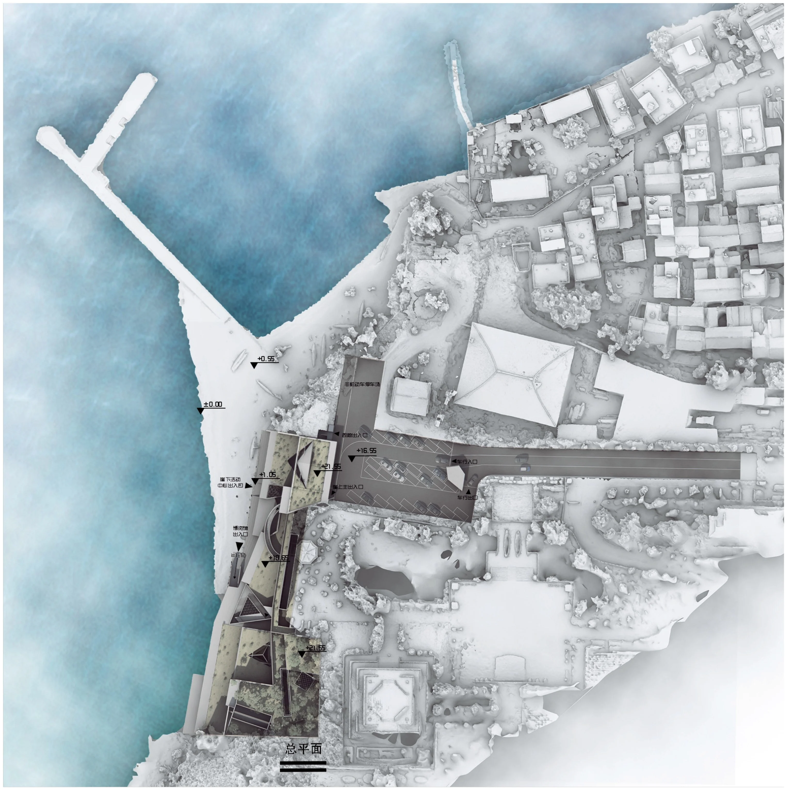 Actin: Site