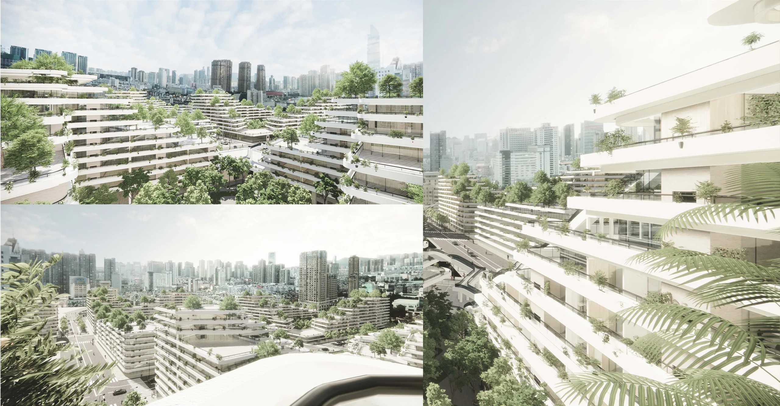 Communitin: Views from the terraces