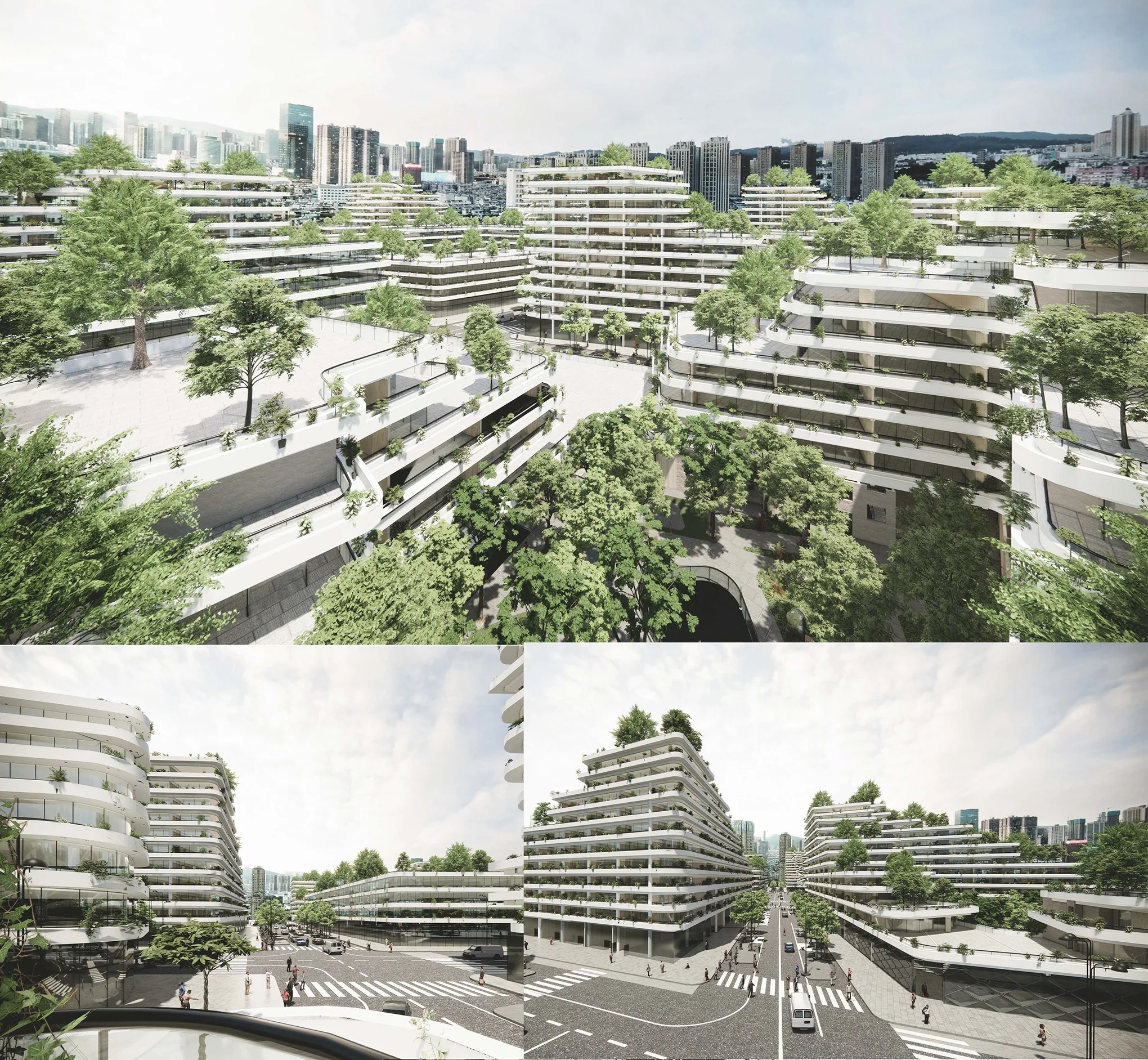 Communitin: Roof gardens and street corners