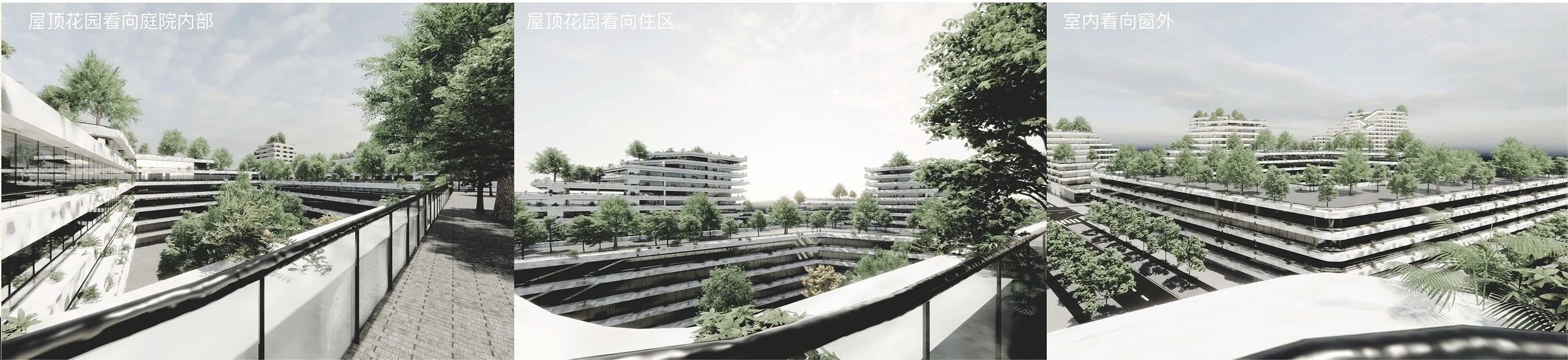 Communitin: From the roof garden