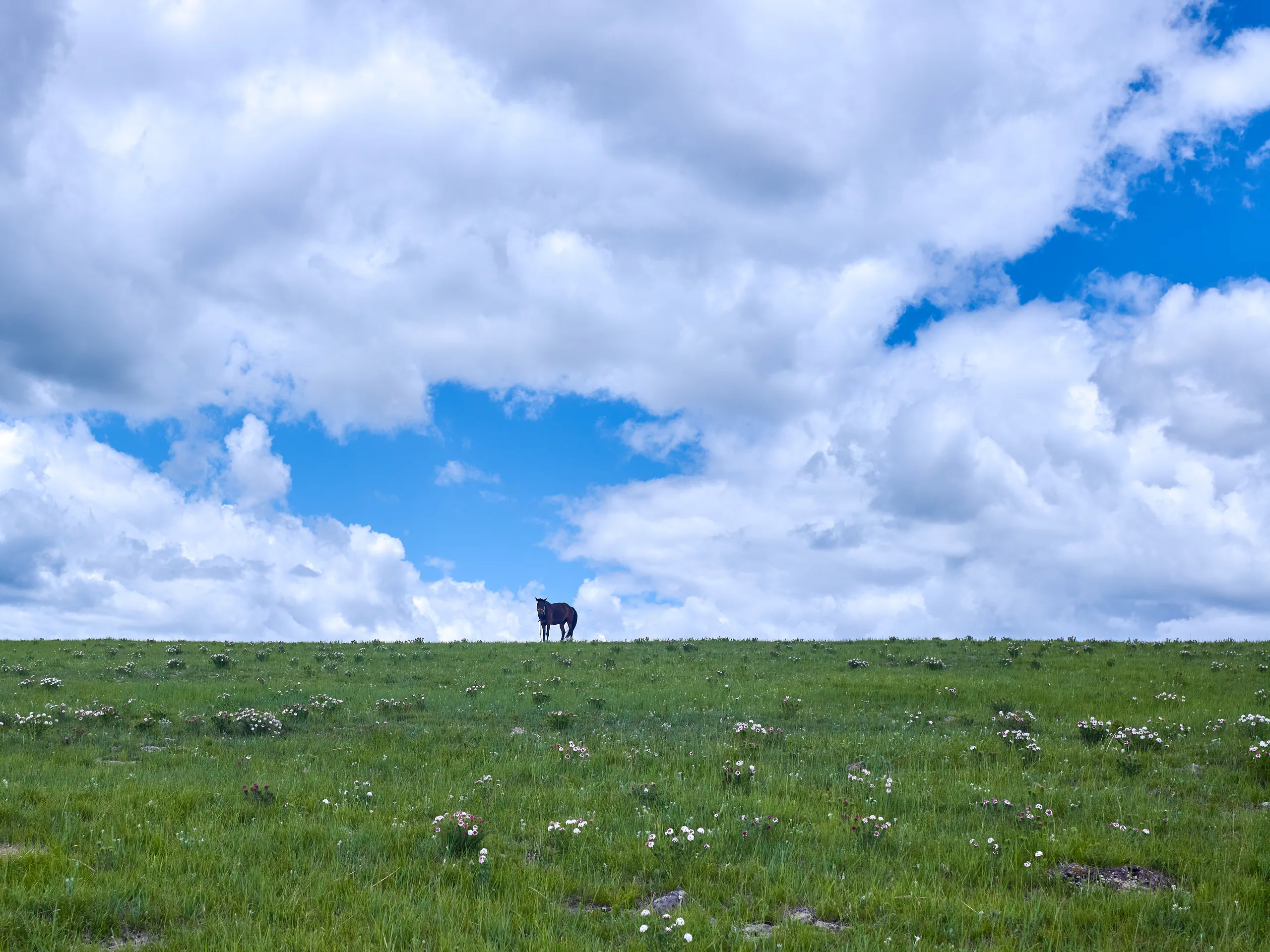 Landscapes, cover
