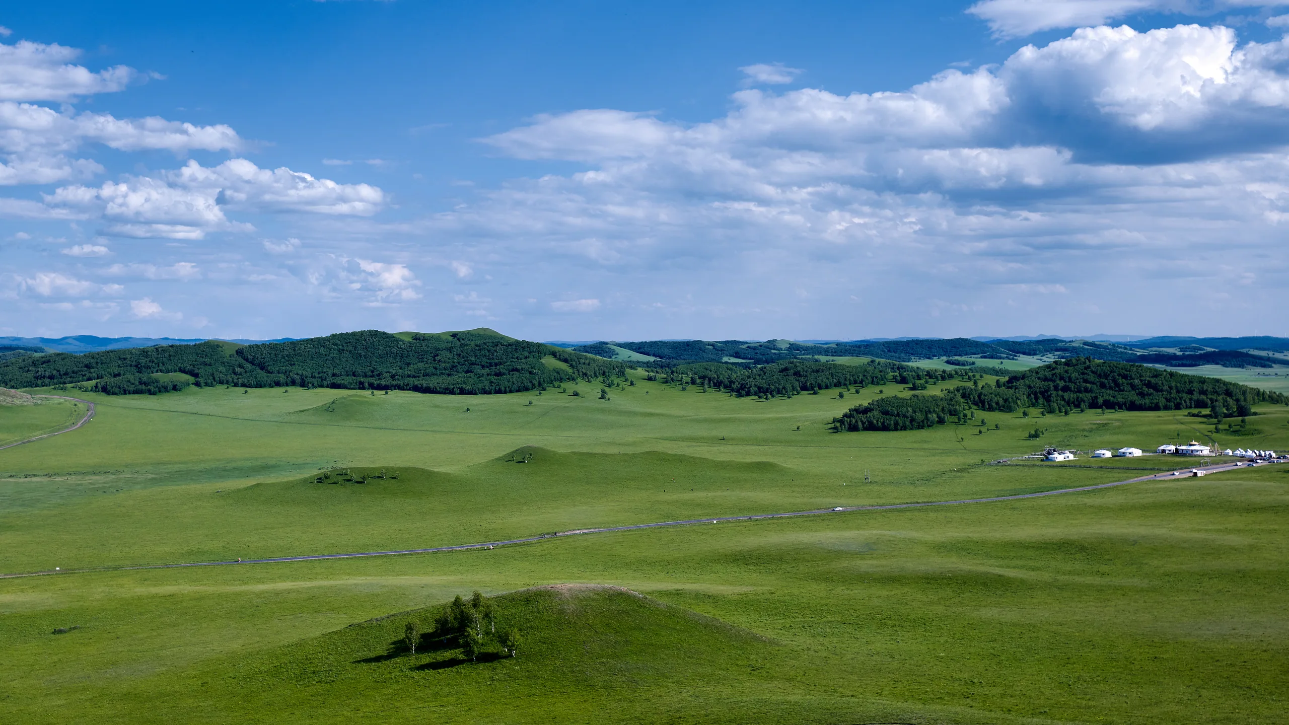 Landscapes: Grassland