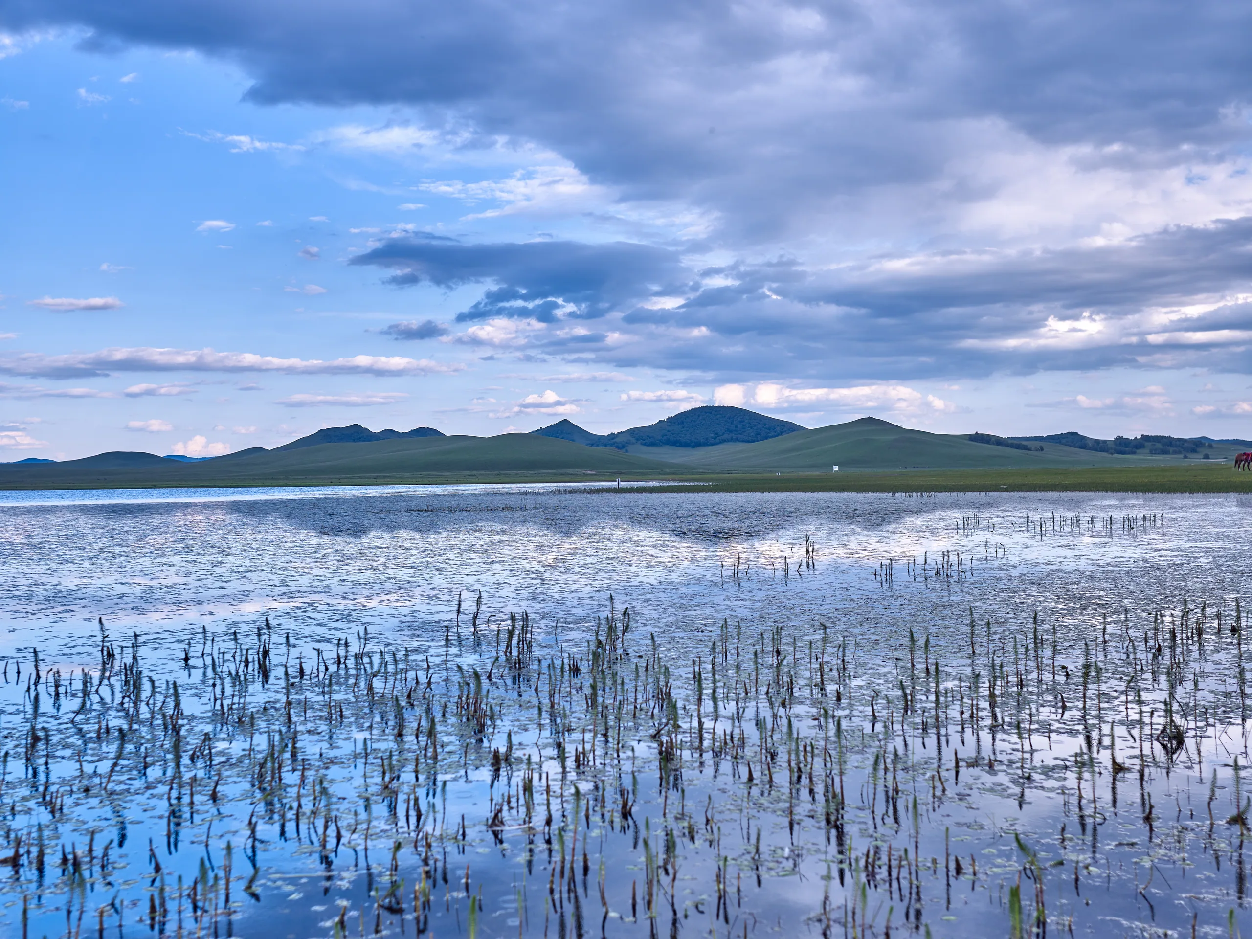 Landscapes: A flooded meadow