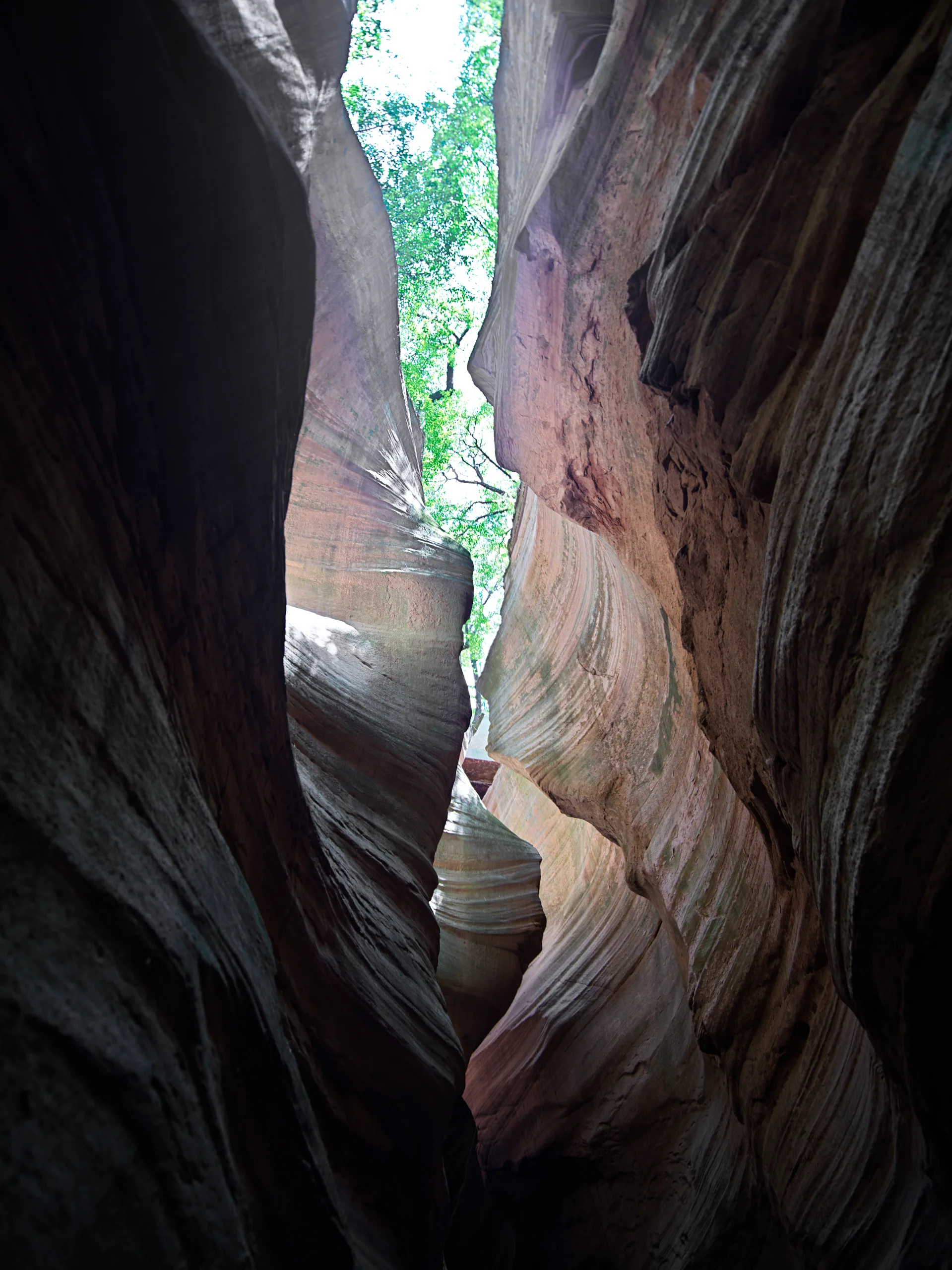 Landscapes, picture 9